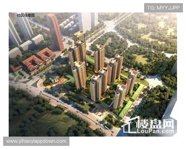 壹号手机网址新品发布，第一时间了解最新手机上市动态